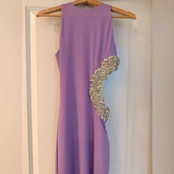 NWOT BRONX AND BANCO Camila Lilac Rhinestone Cutout Maxi Dress - Picture 5 of 15